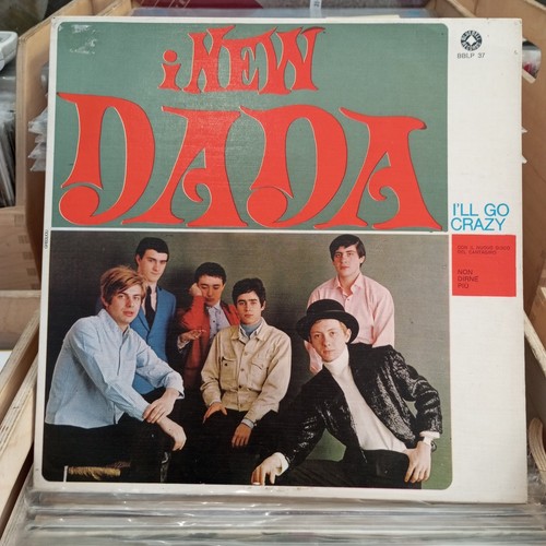 New dada go crazy - i, i'll