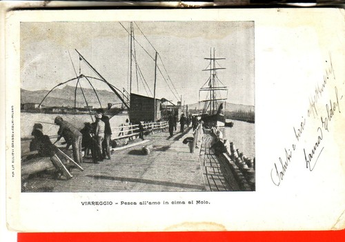 Cartolina viareggio - cartolina,