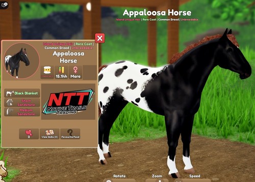 Wild horse islands - horse,