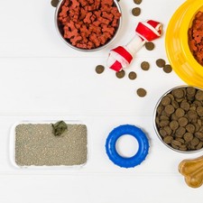 Cassetta igienica in per