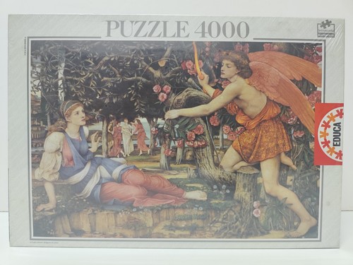 Educa puzzle 4000 - educa,