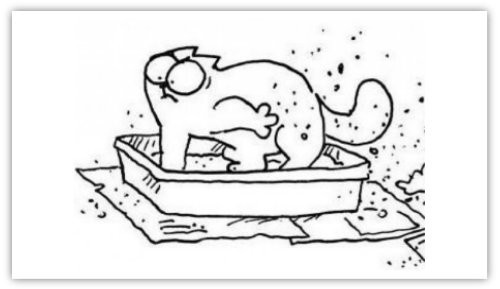 Simon cat magnette 50 - magnette, %