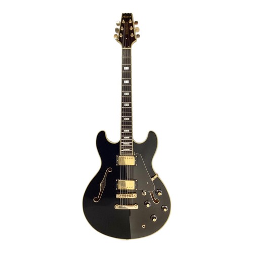Aria pro 03 chitarra - ii,