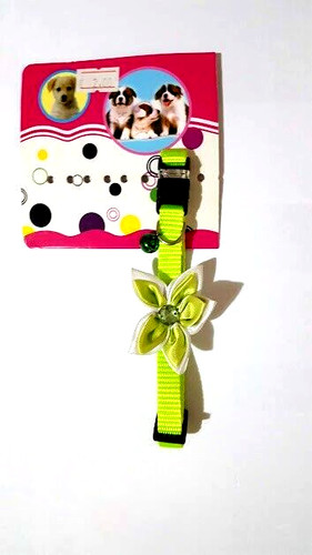 Collarino verde nylon per - in,