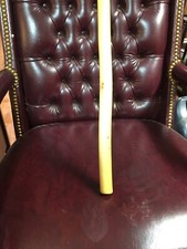 Bastone da passeggio