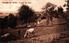 CASTELNUOVO DON BOSCO, Asti -