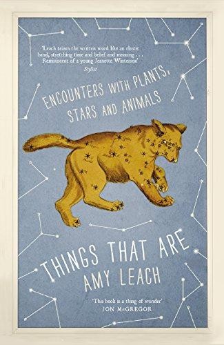 Things that are encounters - things,