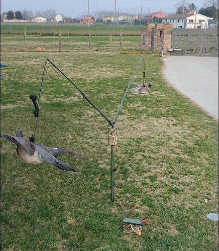 Giostra girello caccia