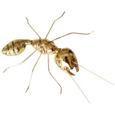  Statuina Ornamento Scrivania