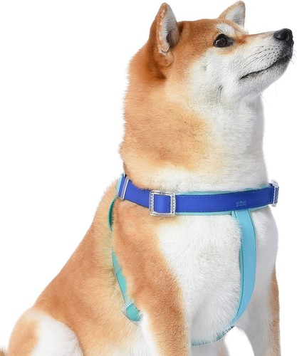 Wags wiggles imbracatura - wags,
