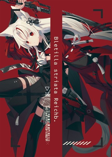 Doujinshi bletilla striata - doujinshi,