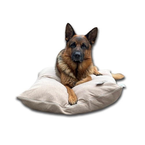 Dorian home cuccia cane - home,