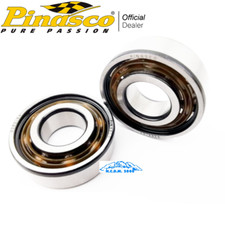 KIT CUSCINETTI PINASCO 6202