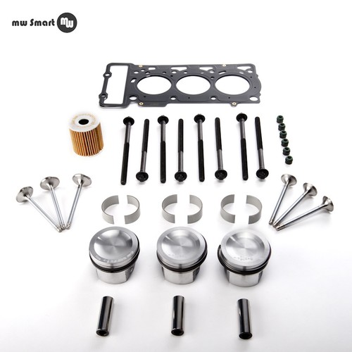 Kit revisione motore smart - revisione,