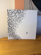 Wilco Sky Blue Sky Gatefold