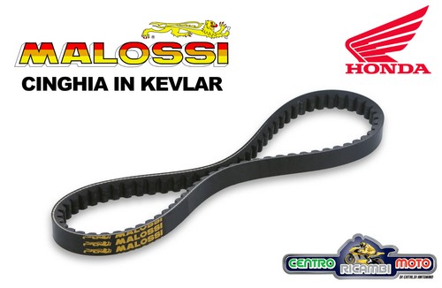 Cinghia trasmissione variatore - cinghia,