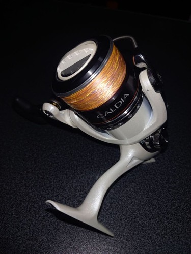 Mulinello spinning daiwa - spinning,