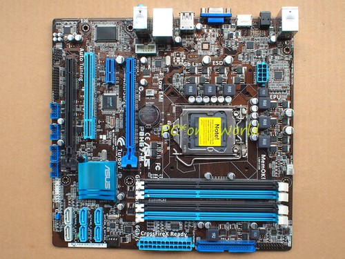 Socket scheda madre - 100%, asus