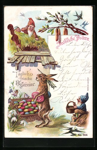 Cartolina nani osservano - nani,
