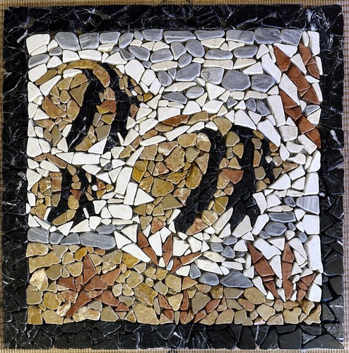 Pesci discus rosone mosaico - discus,