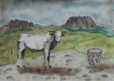 Toro bianco razza chianina  cm 24x33  pastello ad olio su carta. Senza cornice.