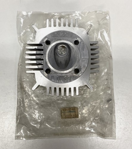 Rare nos testa testata - rare,