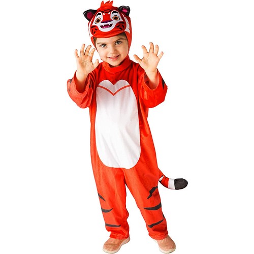 Costume carnevale - costume,