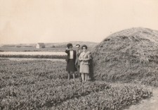 B5 -  Foto Photo Fotografia Anni 60  -  Donne e Uomo Campi Fieno