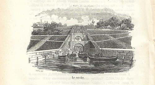 Stampa antica pavia conche - stampa, le