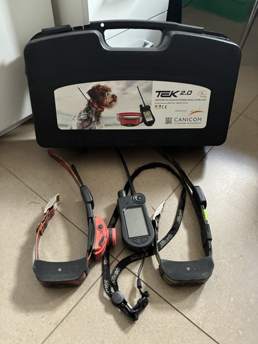 Palmare sport dog tek - sport, 2