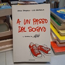 A UN PASSO DAL SOGNO, Chicco Sfondrini Luca Zabforlin, Il romanzo di Amici 2007