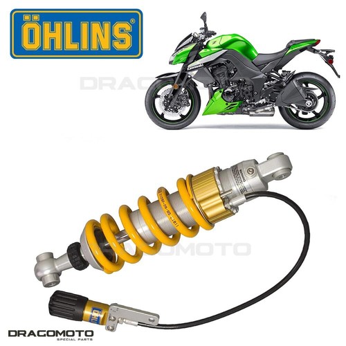 Kawasaki 1000 2010 - kawasaki,