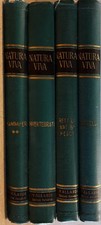 NATURA VIVA - Enciclopedia
