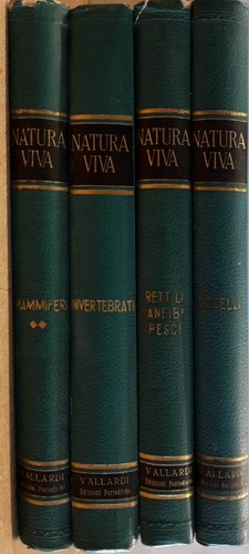 Natura viva enciclopedia - natura,