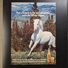 1978 #2 White Horse whisky - Original AD Advertising Pubblicità Vintage