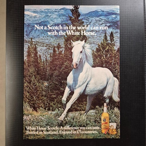 1978 white horse - white,