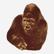 Enzo Mari Il Gorilla