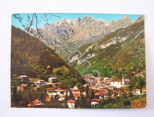 Cartolina erve - cartolina, (