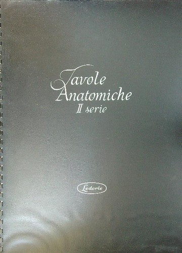 Tavole anatomiche serie - tavole,