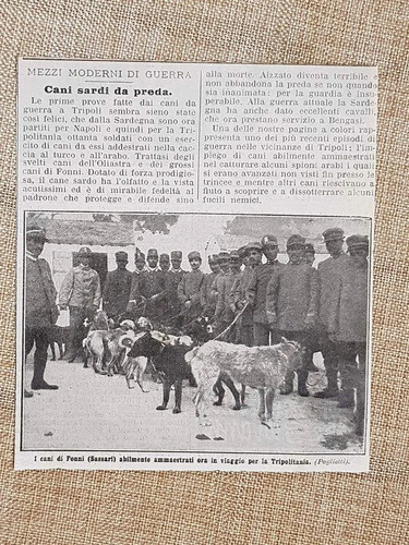 Fonni nel 1912 sassari cani - nel,