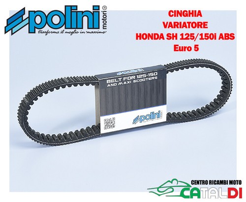 Cinghia variatore polini - variatore,