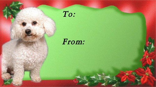 Etichette regalo natale - regalo, di