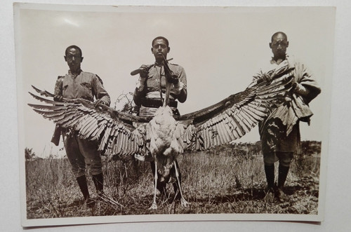 Colonie italiane etiopia - -,