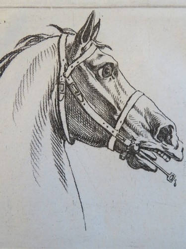 Jacques françois joseph - jacques,
