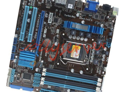 1pz scheda madre asus - scheda,
