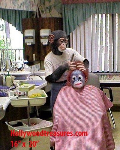 Parrucchiere~Spa~Foto~Decorazi