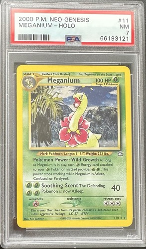 Pokemon meganium meganie holo - |meganium,