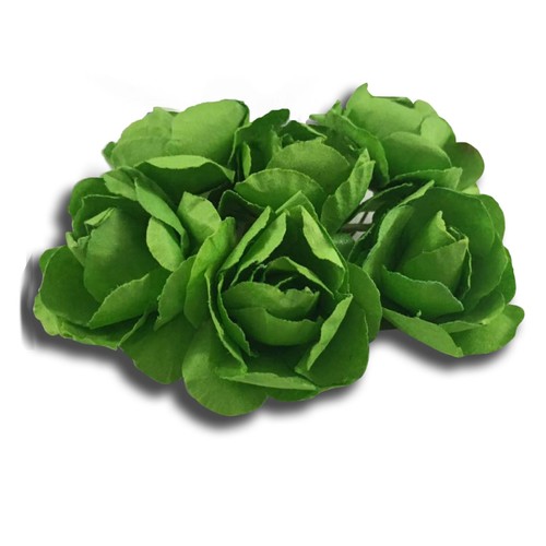 Rose verdi cartapesta offerte - cartapesta,