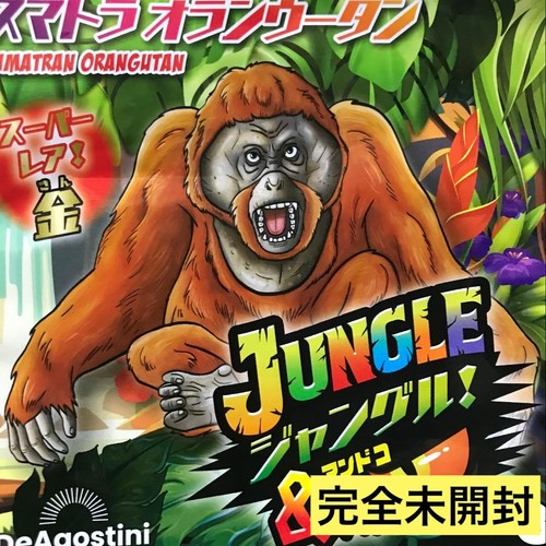 Sumatran orangutan gold jungle - sumatran,