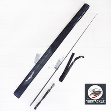 Asta Daiwa STEEZ SHORE